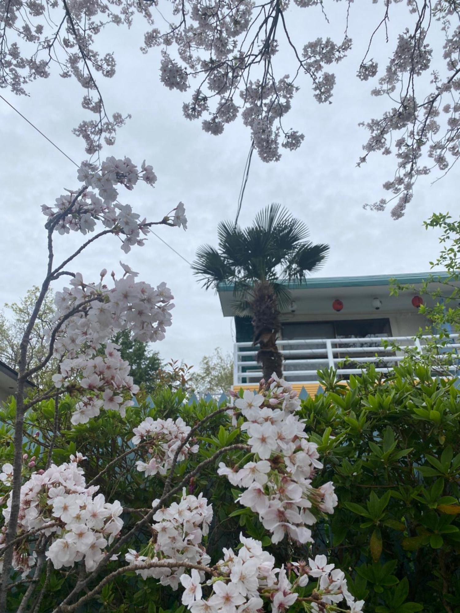 Hanamizuki Onsen Resort Ito  Εξωτερικό φωτογραφία