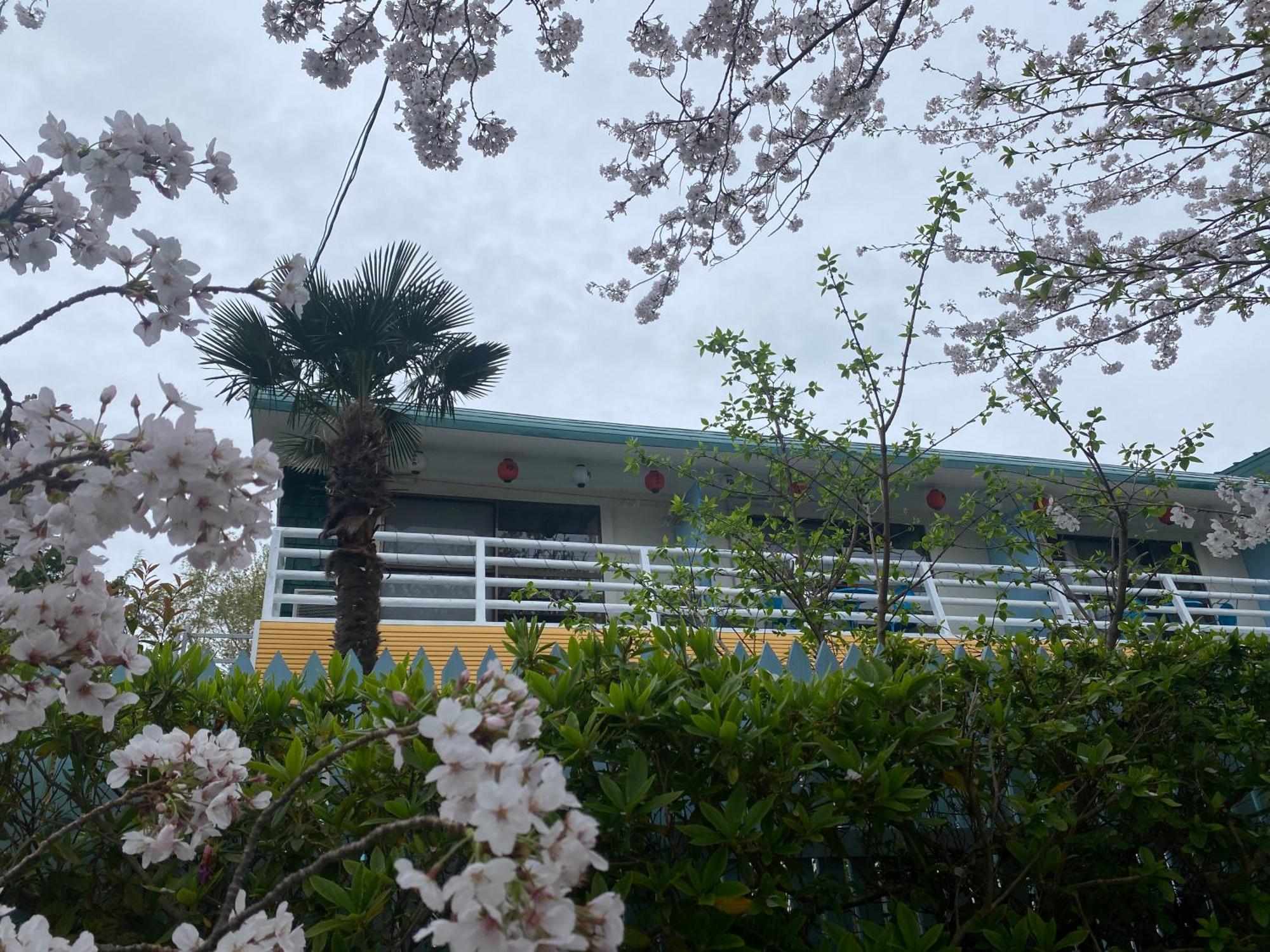 Hanamizuki Onsen Resort Ito  Εξωτερικό φωτογραφία