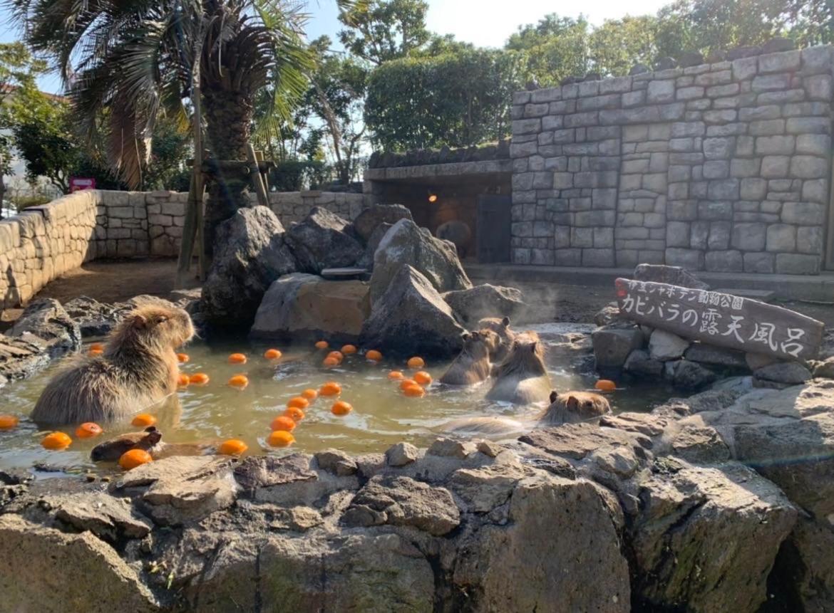 Hanamizuki Onsen Resort Ito  Εξωτερικό φωτογραφία